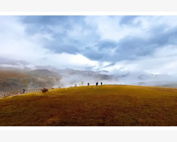 如何煮姜汤驱寒治感冒